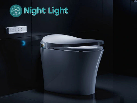 Bidet Toilet Canada: HOROW Tankless Bidet Toilet for 12 Inch Rough In Spaces