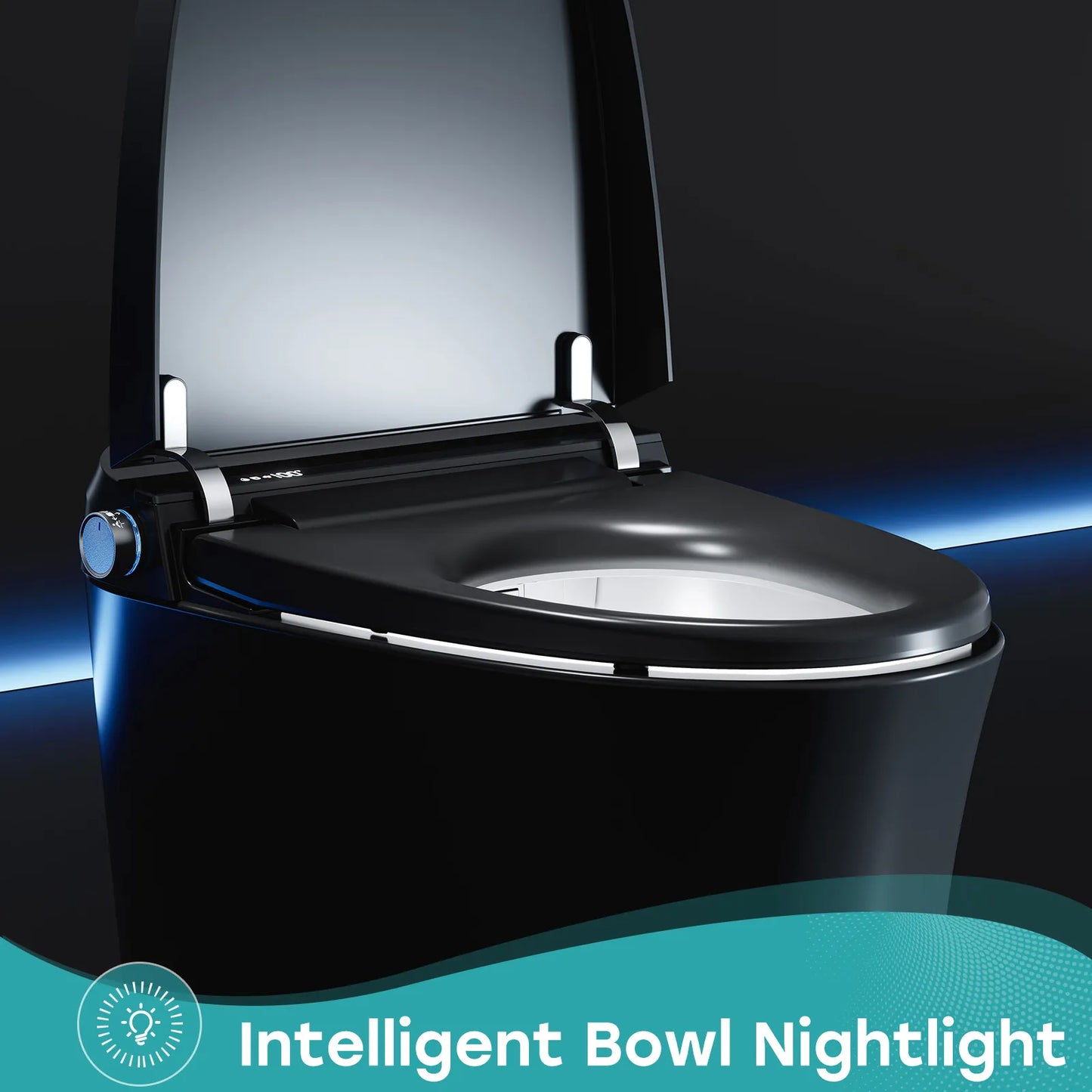 Black Toilet with Bidet for 12 Inch Rough In Model T36