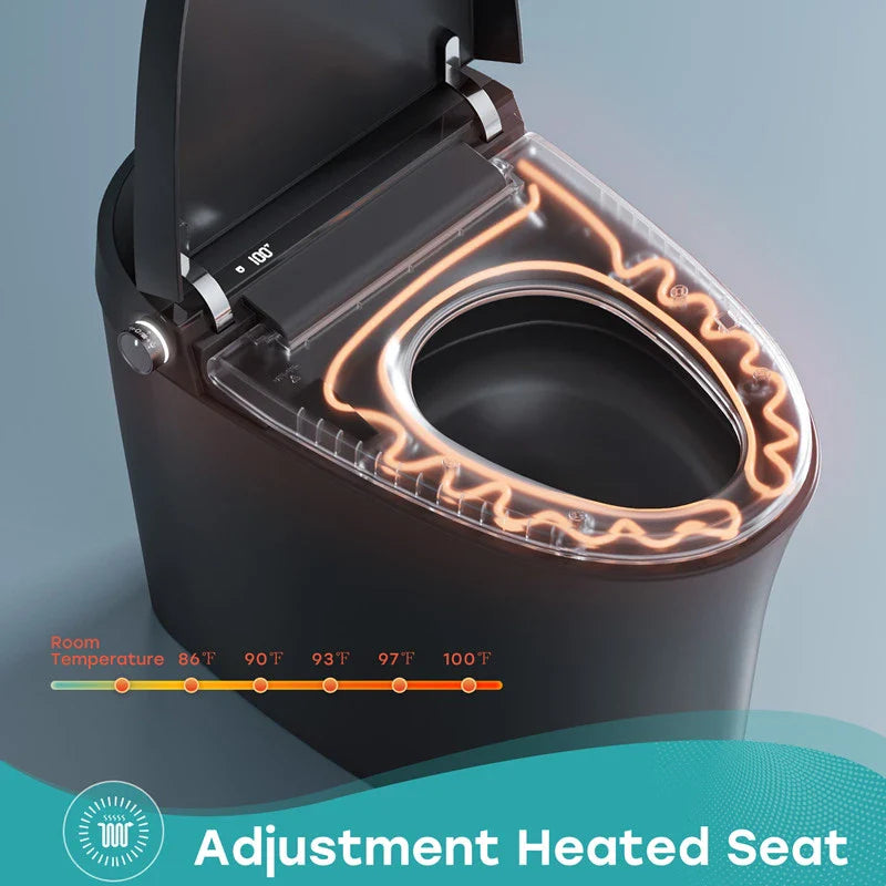 Black Toilet with Bidet for 12 Inch Rough In Model T36