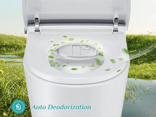 10 Inch Rough In Toilet Canada: HOROW T37 Review with Dryer & Remote