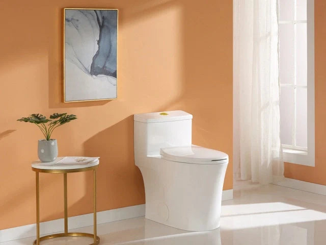 HOROW T0338W in Canada: The Modern Toilet Redefining Bathroom Comfort