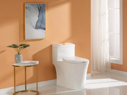HOROW T0338W in Canada: The Modern Toilet Redefining Bathroom Comfort