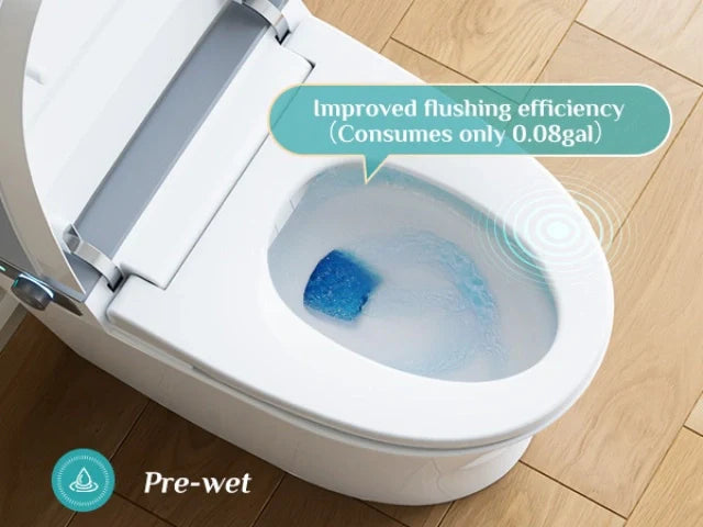 HOROW T37: The Best Bidet Toilet in Canada for 10-Inch Rough-In