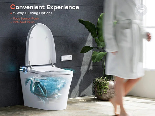 Looking for a Toilet with Bidet in Canada? Try HOROW