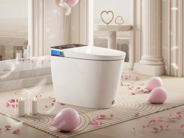 Valentine’s Day Sale: 20% Off HOROW Bidet Toilets in Canada