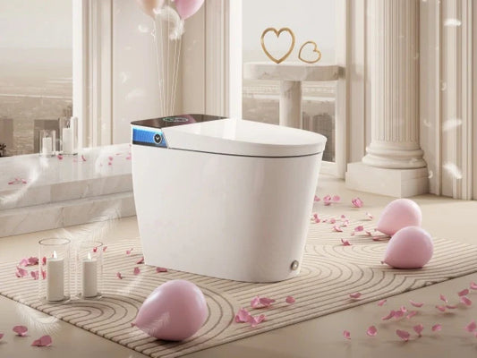 Valentine’s Day Sale: 20% Off HOROW Bidet Toilets in Canada