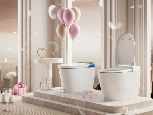 Valentine’s Day Special: Enjoy 20% Off HOROW Bidet Toilets in Canada