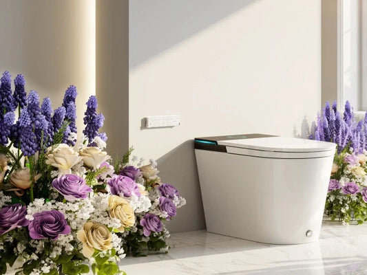 Women’s Day 20% Off HOROW Bidet Toilets – Limited Time Savings