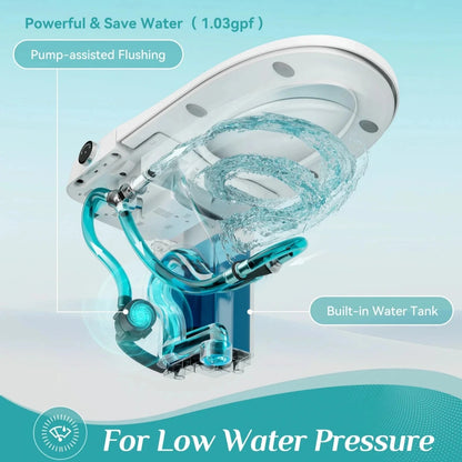 Bidet Toilet with Tank and Heated Toilet Seat for 12 Inch Rough In Model HOROW T05