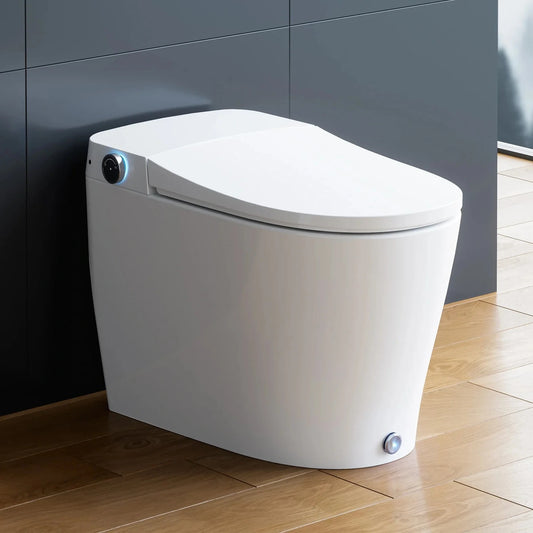 Bidet Toilet with Tank and Heated Toilet Seat for 12 Inch Rough In Model HOROW T05