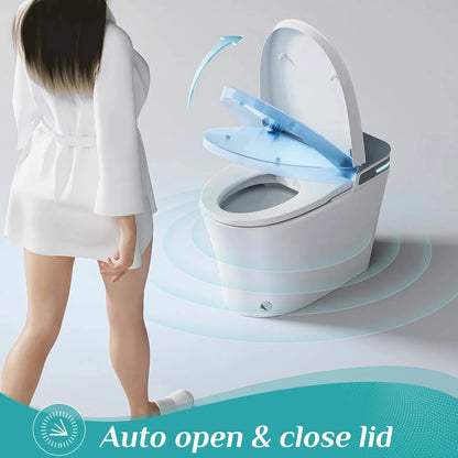 10 Inch Rough In Toilet with Bidet Toilet Seat Model T37