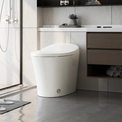 Tankless Toilet with Cold Water Wash and ADA for 12 Inch Rough In Model T15A
