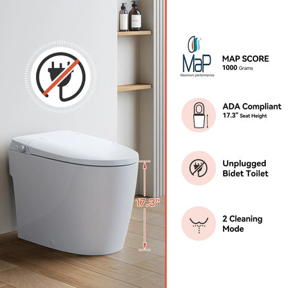 Pressure Assist Toilet with Non Electric Bidet Toilet Seat for 12 Inch Rough In Model T30