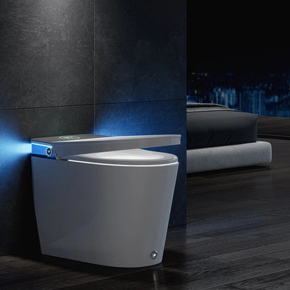 Skirted Toilet with Bidet and ADA Compliance for 12 Inch Rough In Model T38P