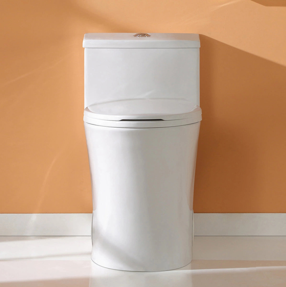 HOROW T0338W One Piece Toilet with Dual Flush