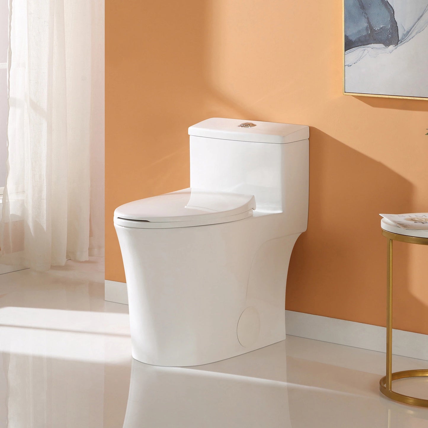 HOROW T0338W One Piece Toilet with Dual Flush