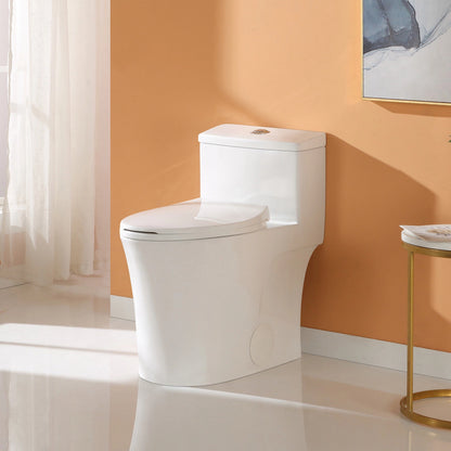 HOROW T0338W One Piece Toilet with Dual Flush