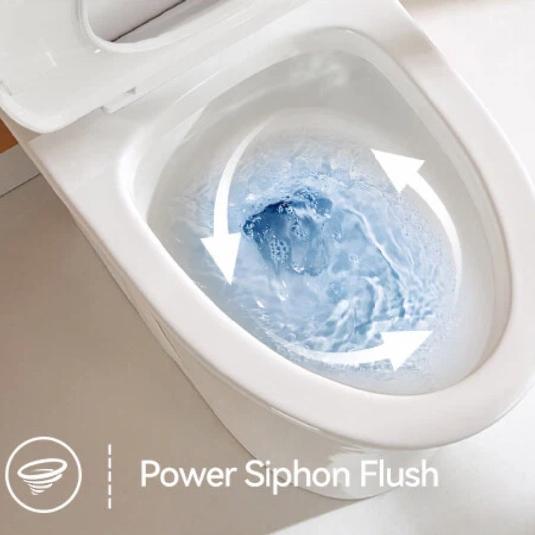 HOROW T0338W One Piece Toilet with Dual Flush