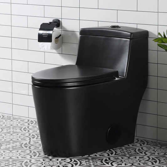 HOROW Matte Black Toilet with Low Tank and Dual Flush Model HR-T0280B