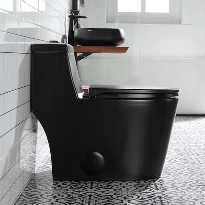HOROW Matte Black Toilet with Low Tank and Dual Flush Model HR-T0280B
