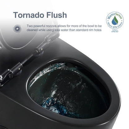 HOROW Matte Black Toilet with Low Tank and Dual Flush Model HR-T0280B