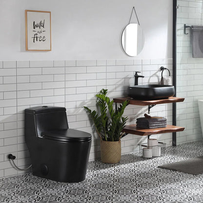 HOROW Matte Black Toilet with Low Tank and Dual Flush Model HR-T0280B