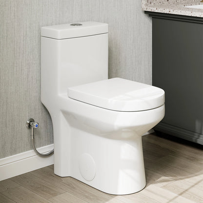 HOROW 8733-10 Compact Toilet with Dual Flush for 10 Inch Rough In