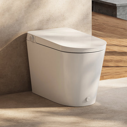 HOROW N30 Non-Electric Bidet Toilet Canada | Tankless Design with ADA Comfort Height