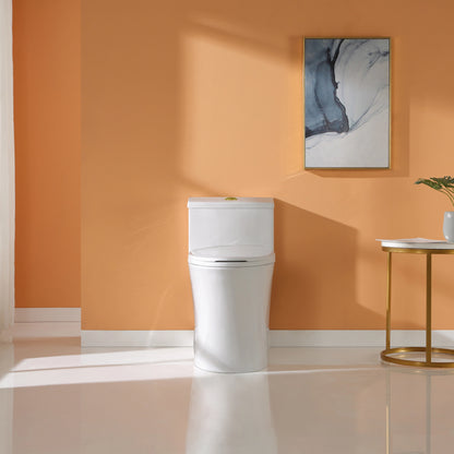 HOROW T0338W-G One Piece Toilet with Golden Button