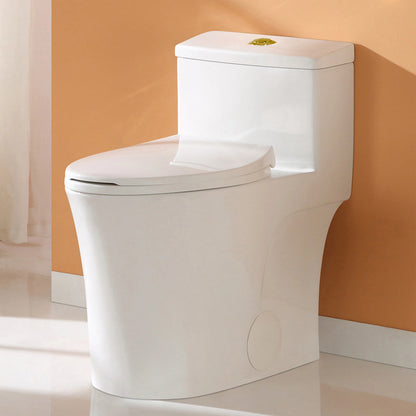 HOROW T0338W-G One Piece Toilet with Golden Button