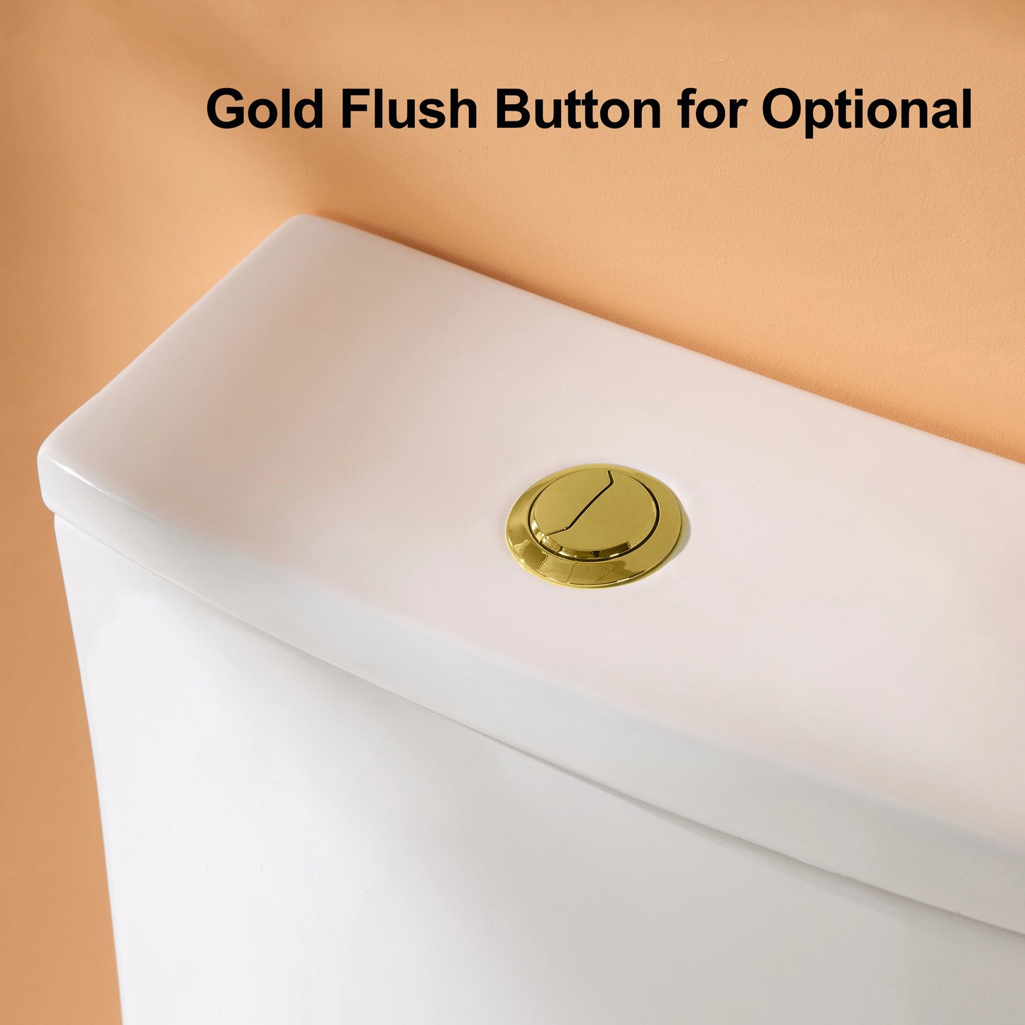 HOROW T0338W-G One Piece Toilet with Golden Button