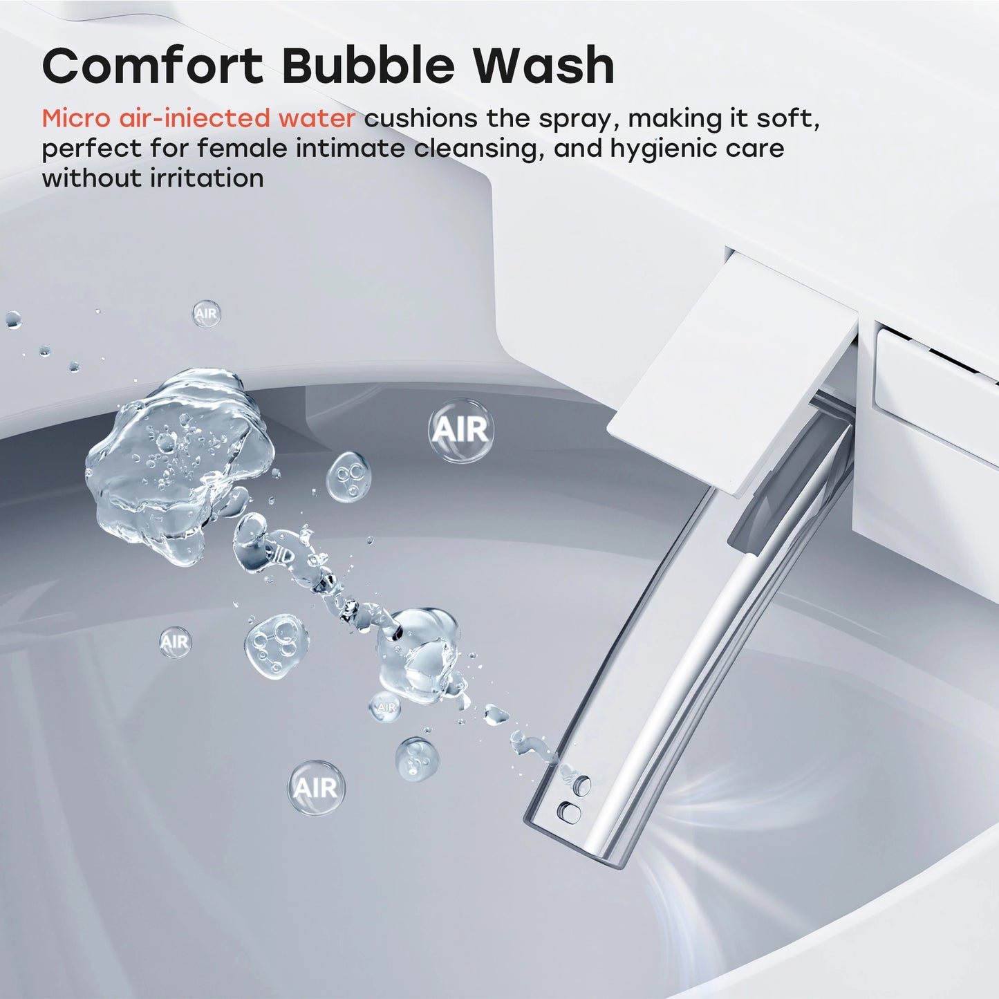 10 Inch Rough In Toilet with Bidet Toilet Seat Model T37