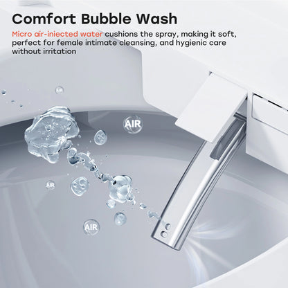 10 Inch Rough In Toilet with Bidet Toilet Seat Model T37